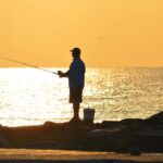Guide to Fish Bay Area Houston