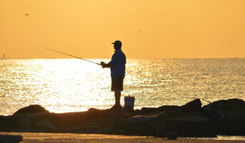 Guide to Fish Bay Area Houston