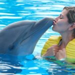 Best Dolphin Cruises in Destin-Fort Walton Beach