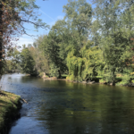 Make Memories in Michigan’s Coldwater Country