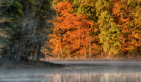 Berkeley County
