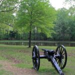 Savannah