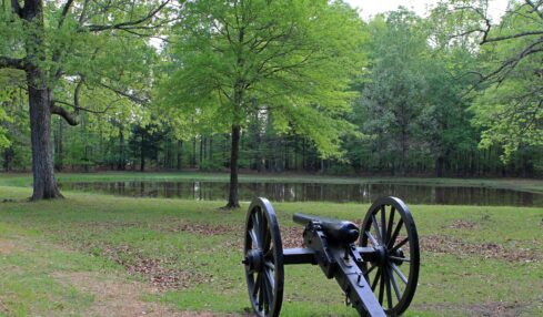 Savannah