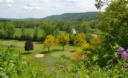 Chenango County