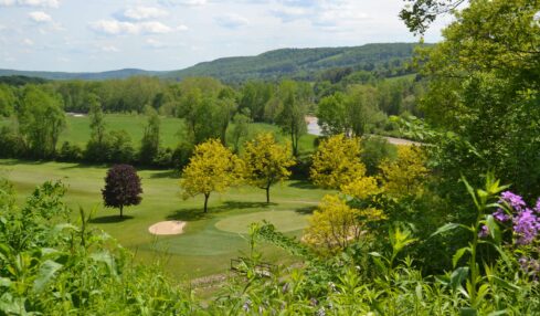 Chenango County