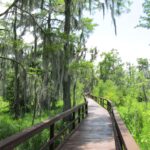 Things to do in New Orleans