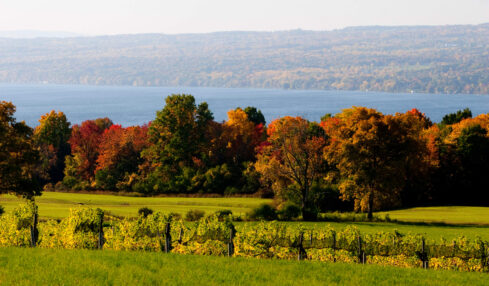 Finger Lakes