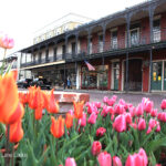 explore Natchitoches