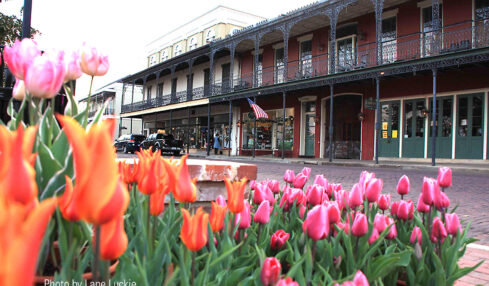 explore Natchitoches