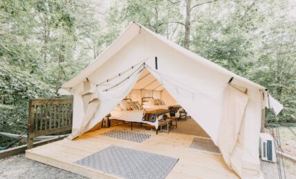 Adventure and Escape in Dawsonville
