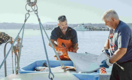 Pacific - Abundant Seafood in Newport, Oregon