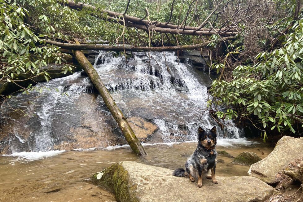 Summer in Rabun County, Georgia