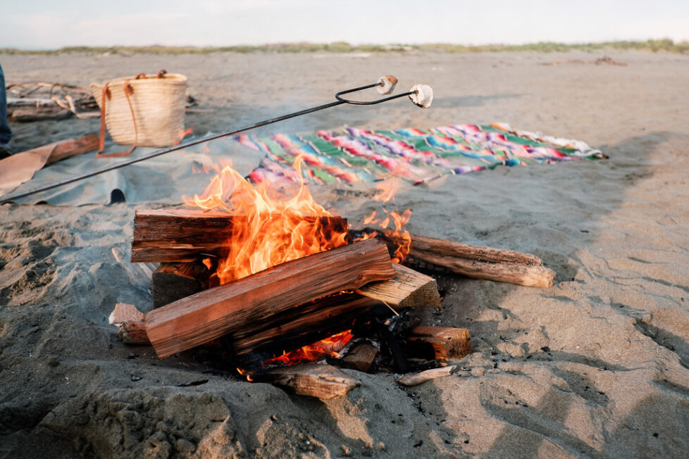 Explore the Shores