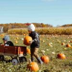 Oswego County Welcomes Autumn with Vibrant Colors