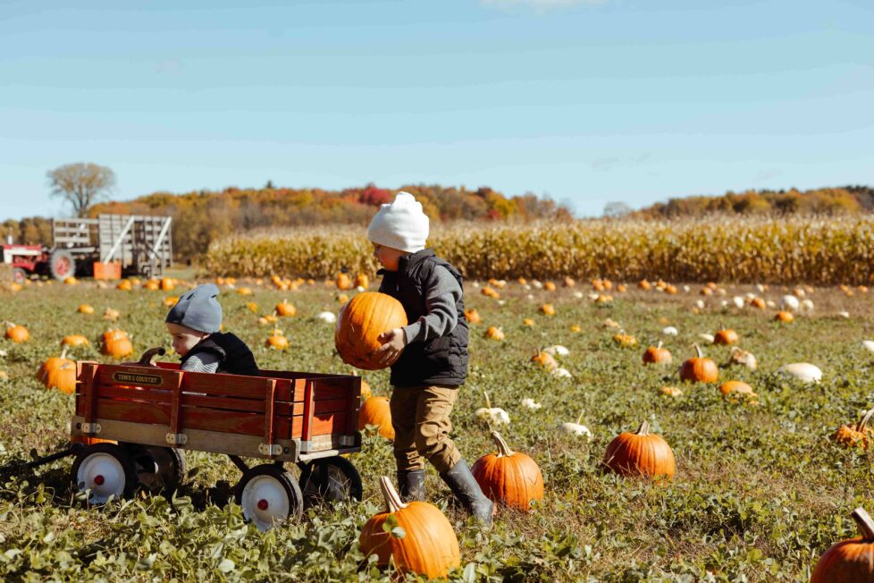 Oswego County Welcomes Autumn with Vibrant Colors
