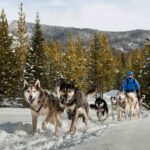 Escape to a Vibrant Winter Wonderland 