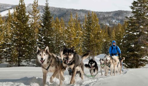 Escape to a Vibrant Winter Wonderland 
