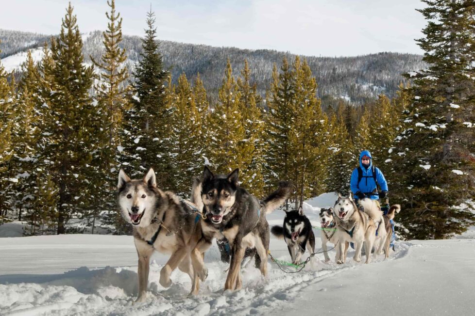 Escape to a Vibrant Winter Wonderland 