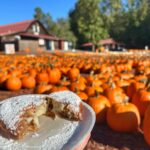 Family Fun in Dawsonville Georgia