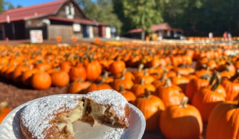 Family Fun in Dawsonville Georgia