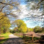 Pickens County destination for hikers