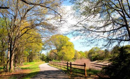 Pickens County destination for hikers