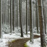 winter blues in Randolph County