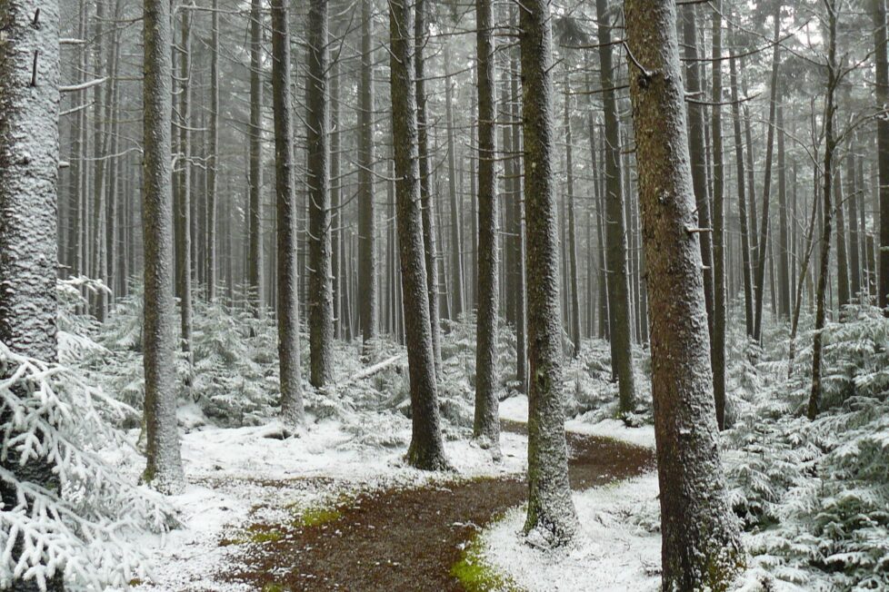 winter blues in Randolph County