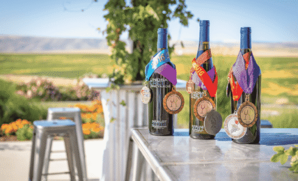 Destination in Lewis Clark Valley