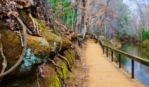 Nacogdoches, Texas Discover Spring and Summer