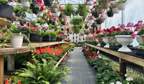 You're Invited to Wander Lancaster and Fairfield County